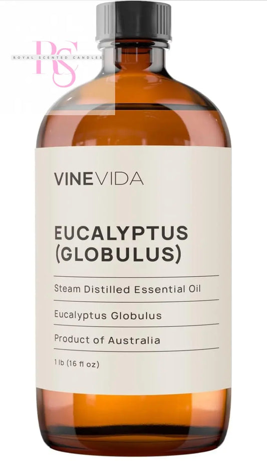 VINEVIDA Eucalyptus Essential Oil 16 oz - Undiluted Eucalyptus Oil 16 oz - Eucalyptus Candle Oil Scent - DIY Candle Scents for Candlemaking - Bulk Essential Oil for Soap Making Safe for Skin - Royal Scented Candles