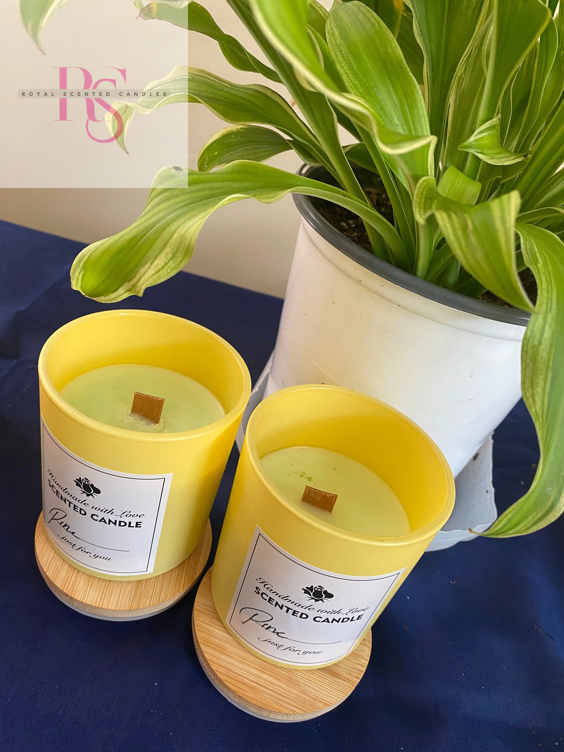 Pine - Royal Scented Candles