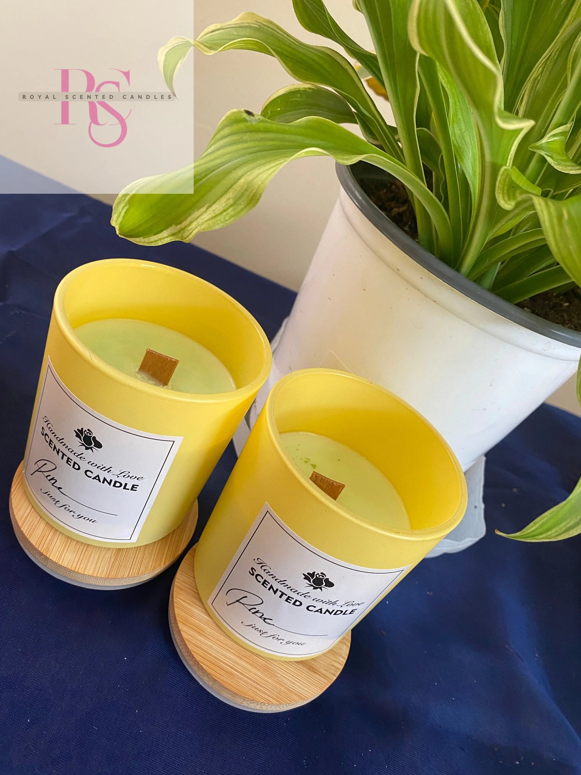 Pine - Royal Scented Candles