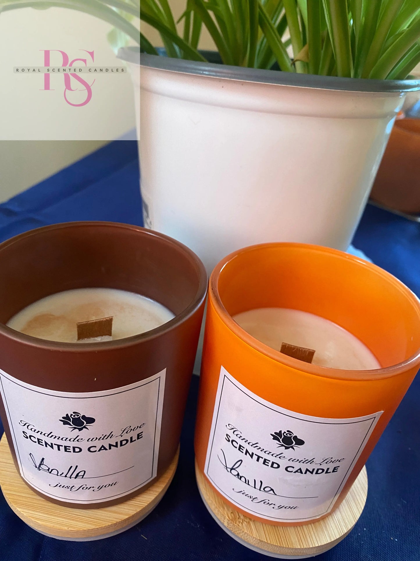 Vanilla - Royal Scented Candles